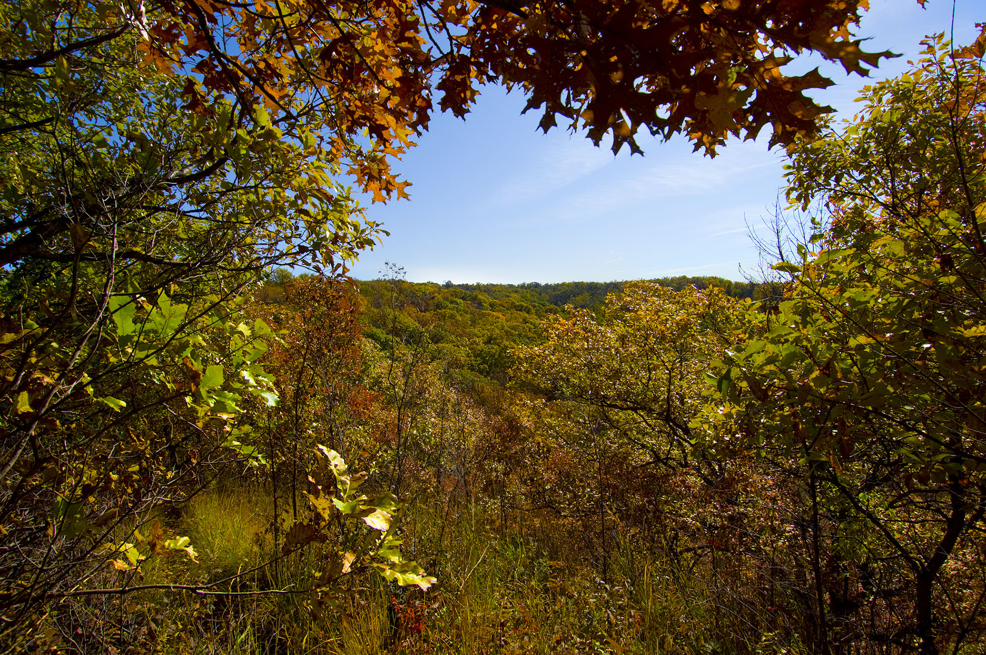 Fall foliage in Indian Cave State Park. | Photo by Rick Neibel / Nebraska Tourism.