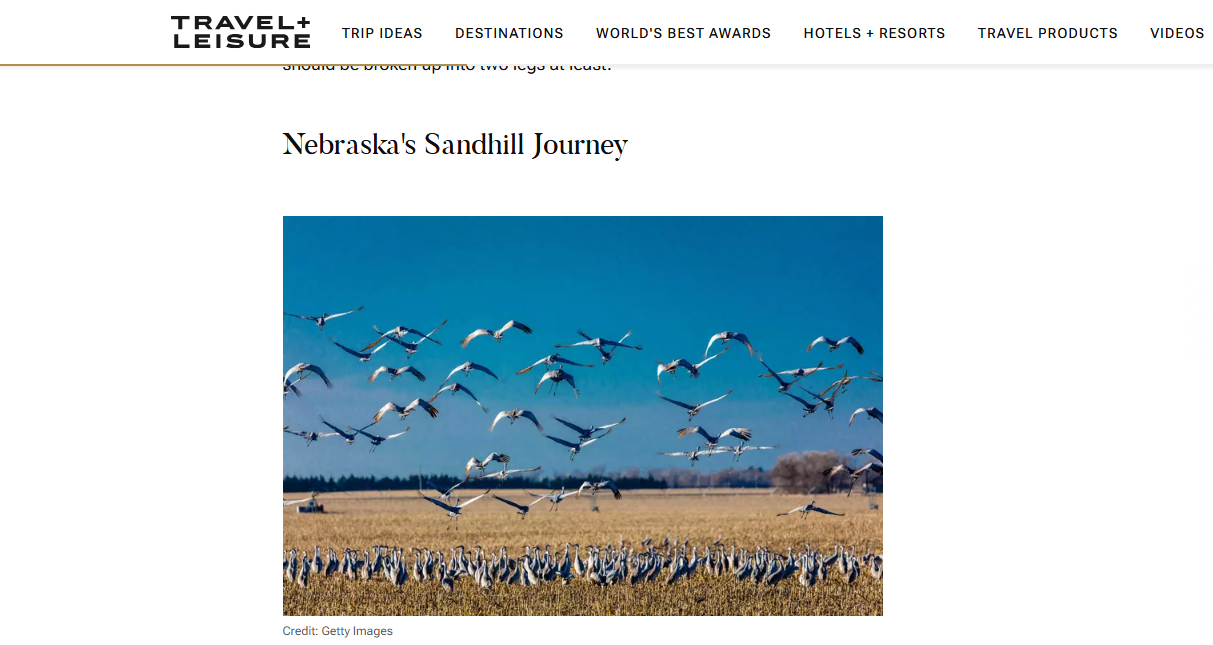 sandhill crane migration