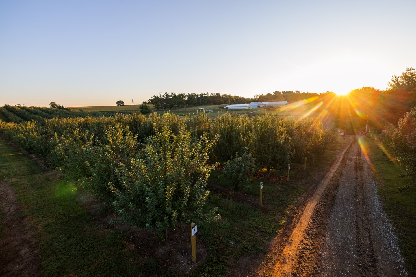 arbor day farm