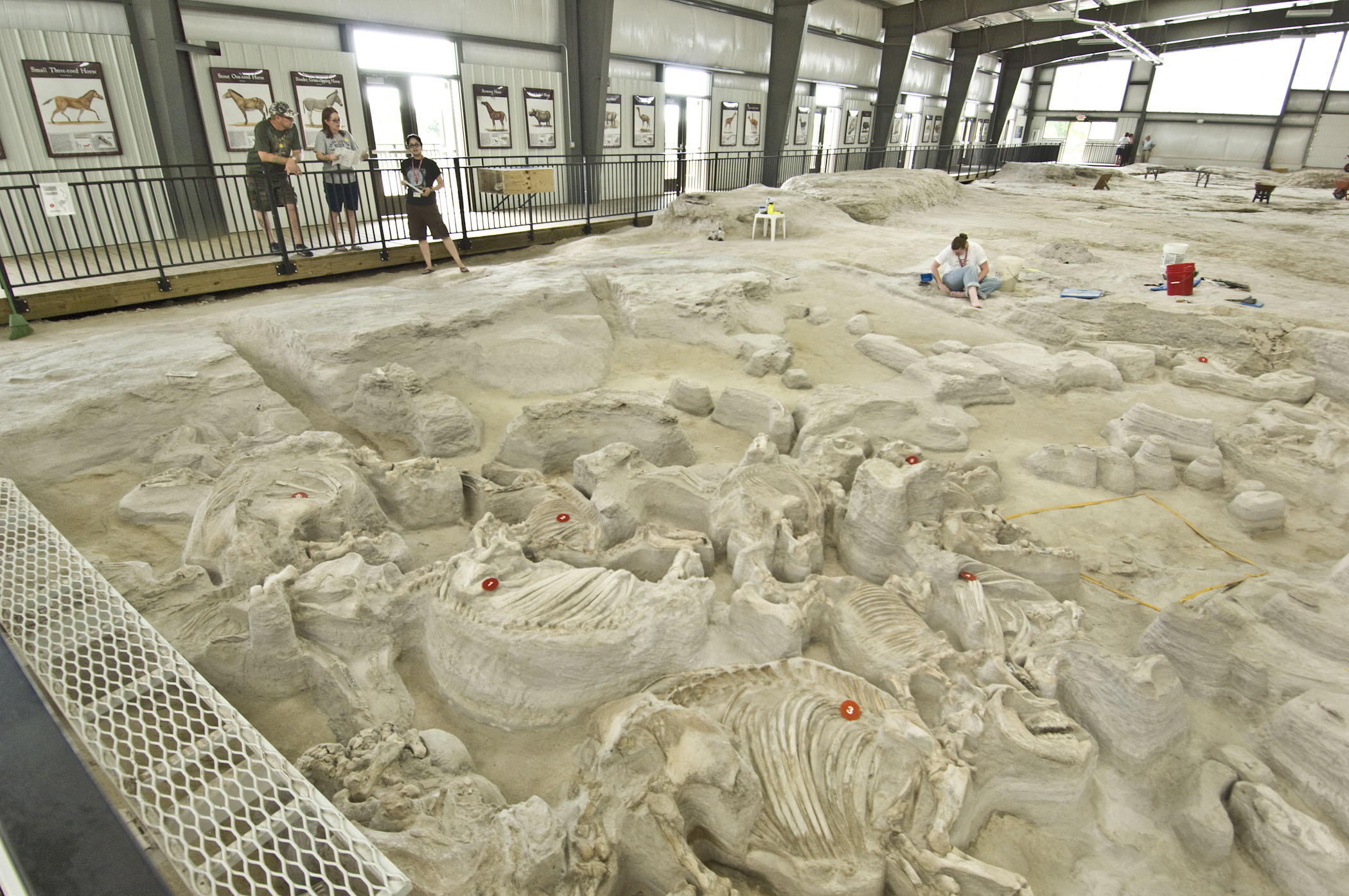 Ashfall Fossil Bed | Nebraska Tourism