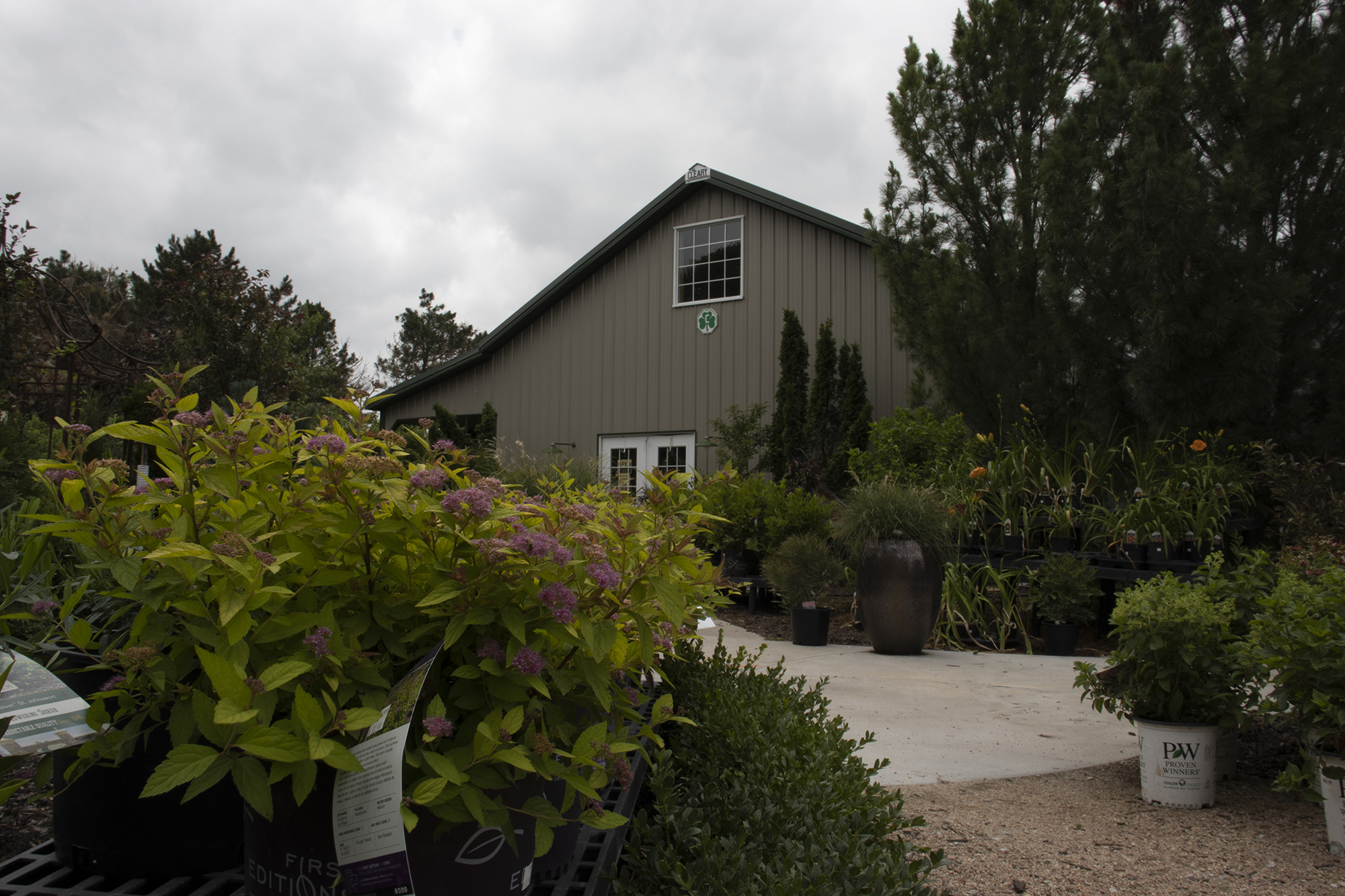 Plants outside Harmony Nursery and Daylily Farm in Bradshaw.