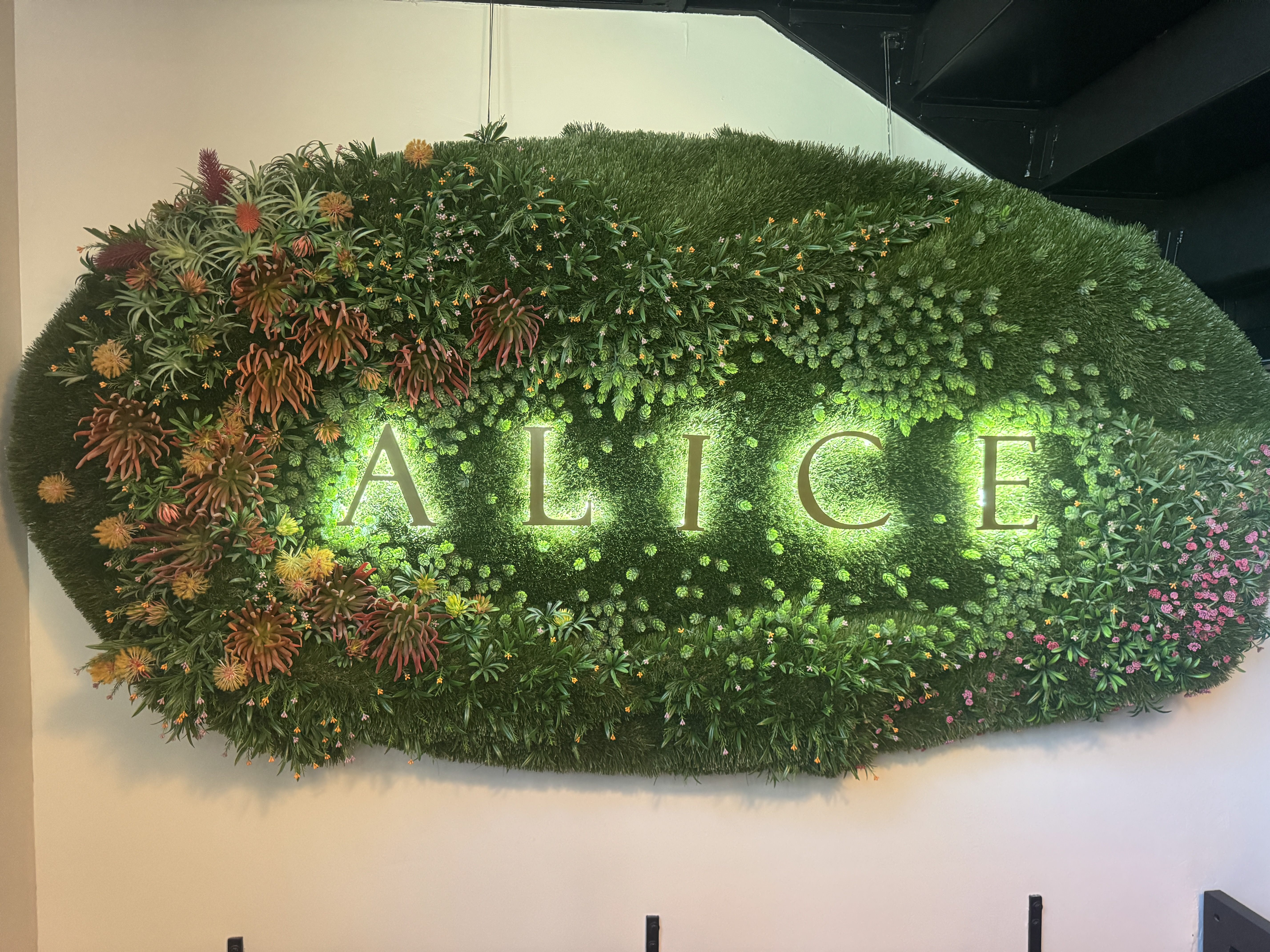 alice speakeasy sign