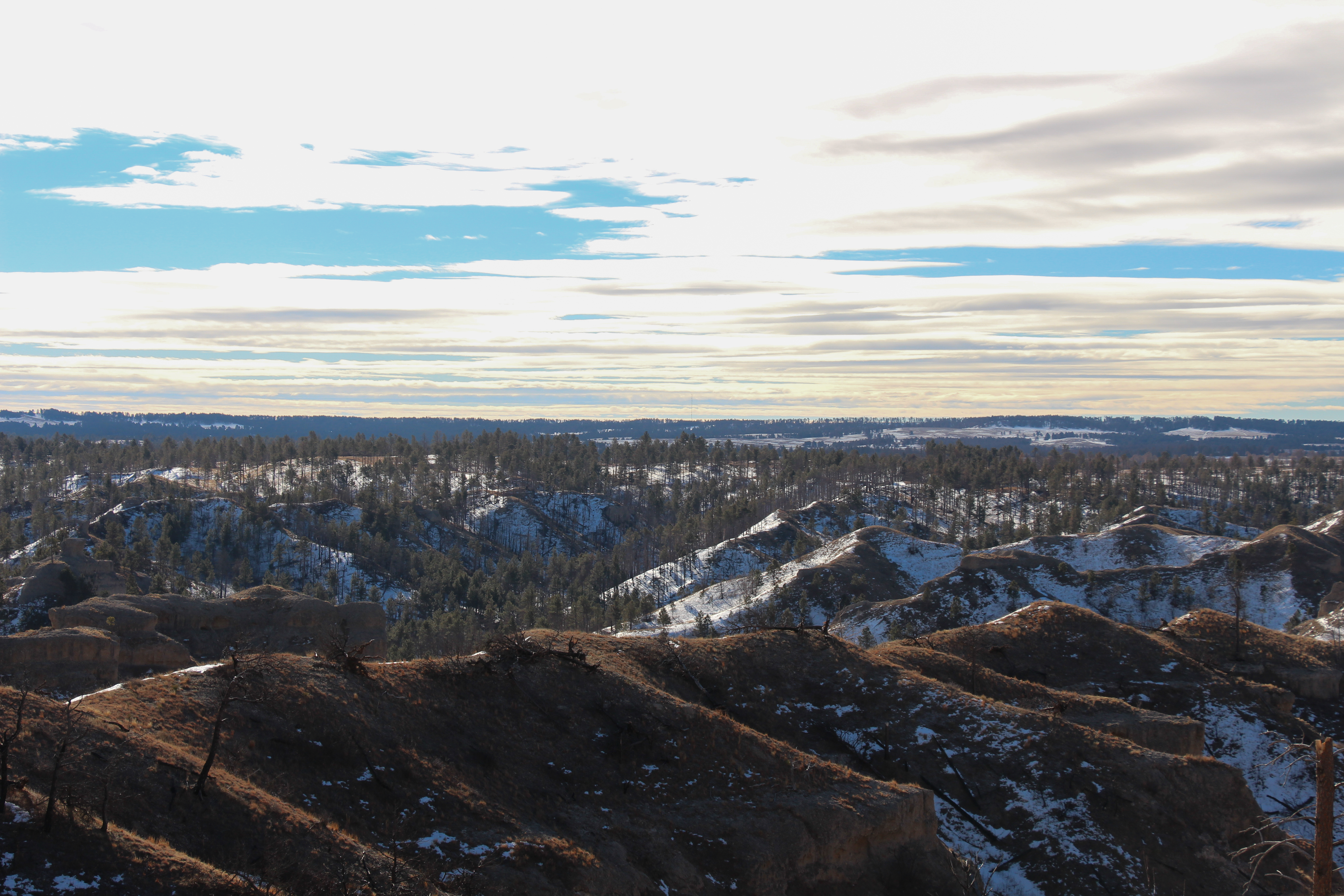 Snowy landscapes of Chadron State Park