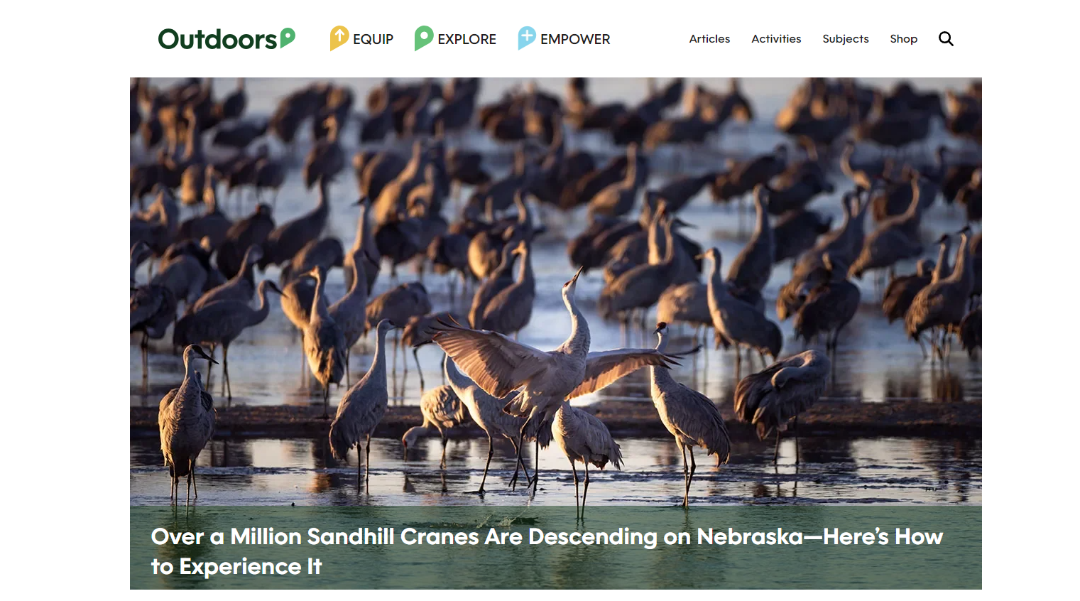 outdoors crane