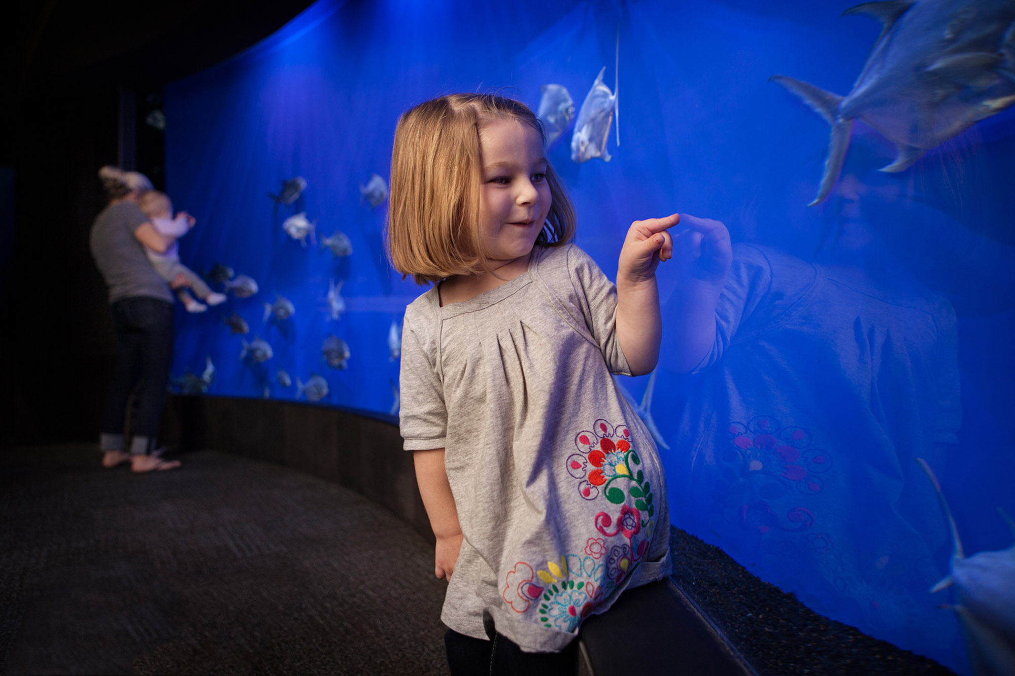 Little girl looks at the various aquatic life at Suzanne and Walter Scott Aquarium at Omaha's Henry Doorly Zoo. | Bill Sitzmann, minorwhite studios inc. / © Bill Sitzmann