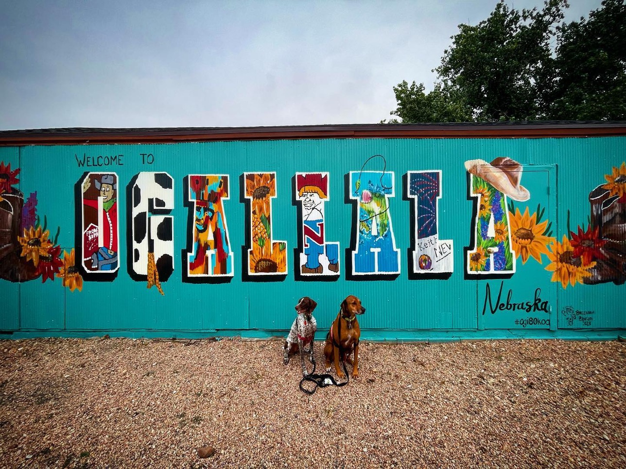 A mural that says "Welcome To Ogallala Nebraska" with each letter of Ogallala showcasing a different design. Two dogs sit in front of the mural.