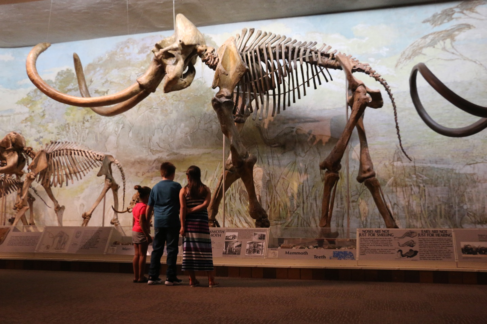 University of Nebraska State Museum of Natural History