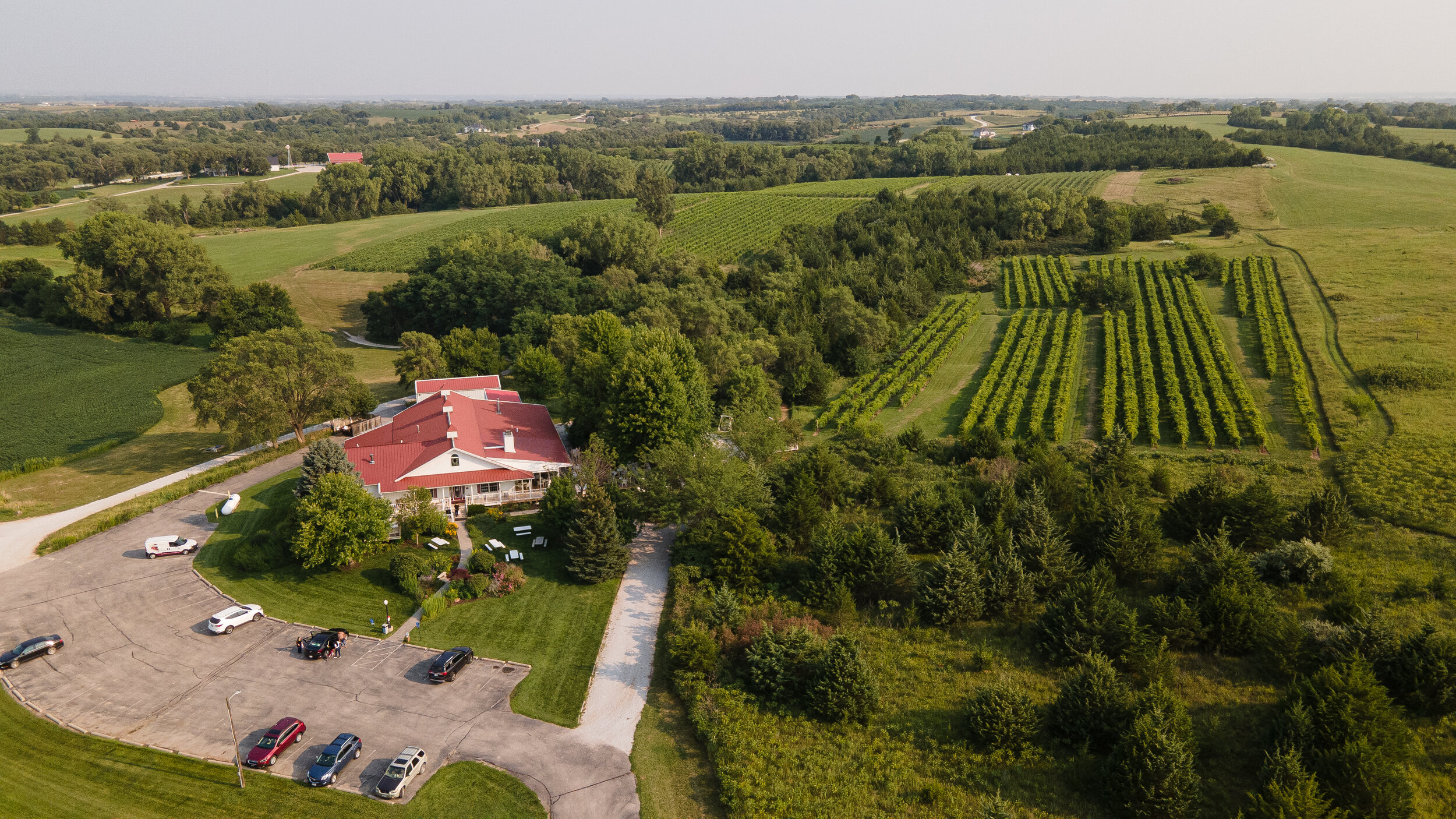 James Arthur Vineyards