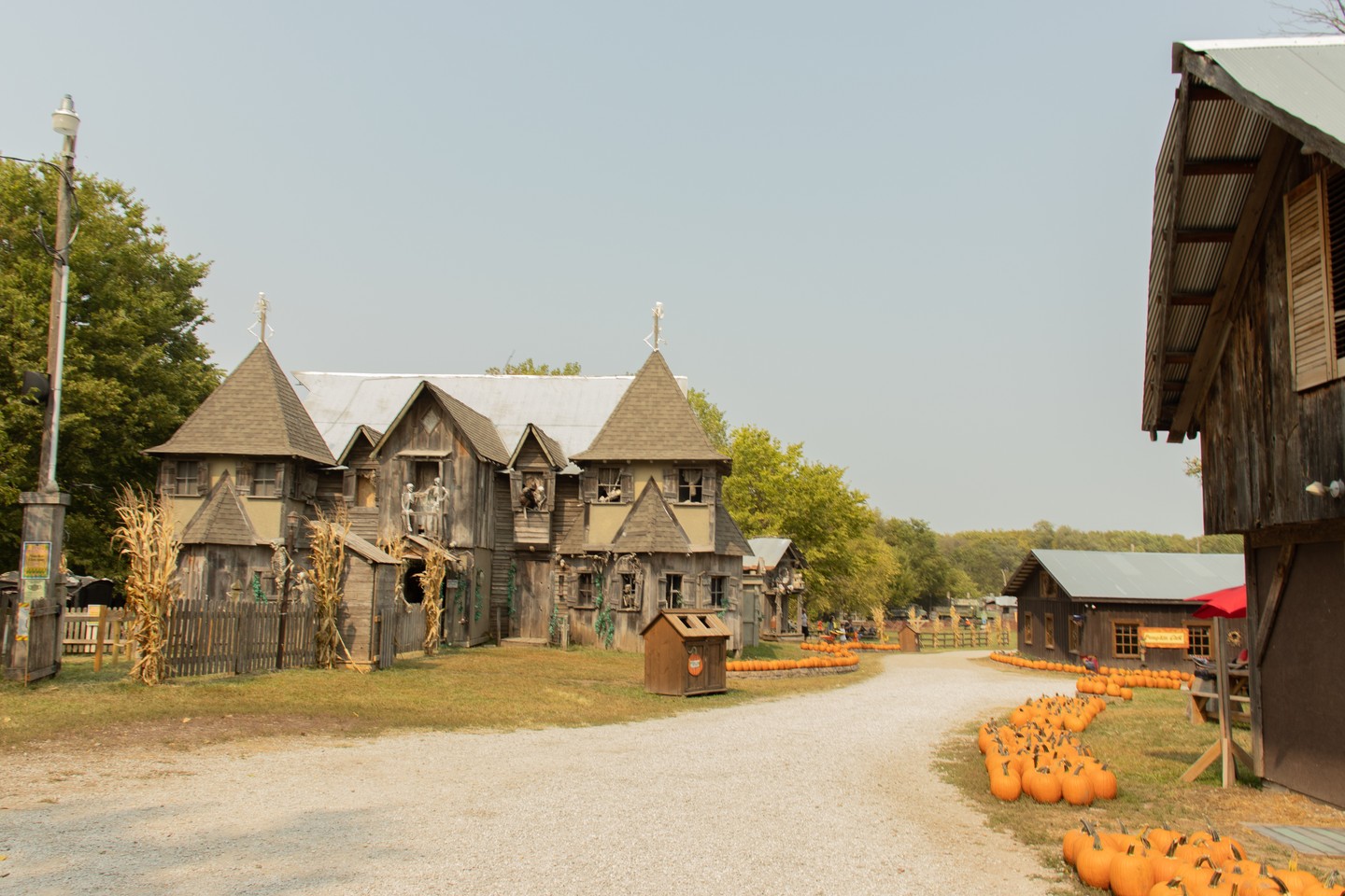 Pumpkins lining a path to a haunted house at Roca Scary Farm in Roca.