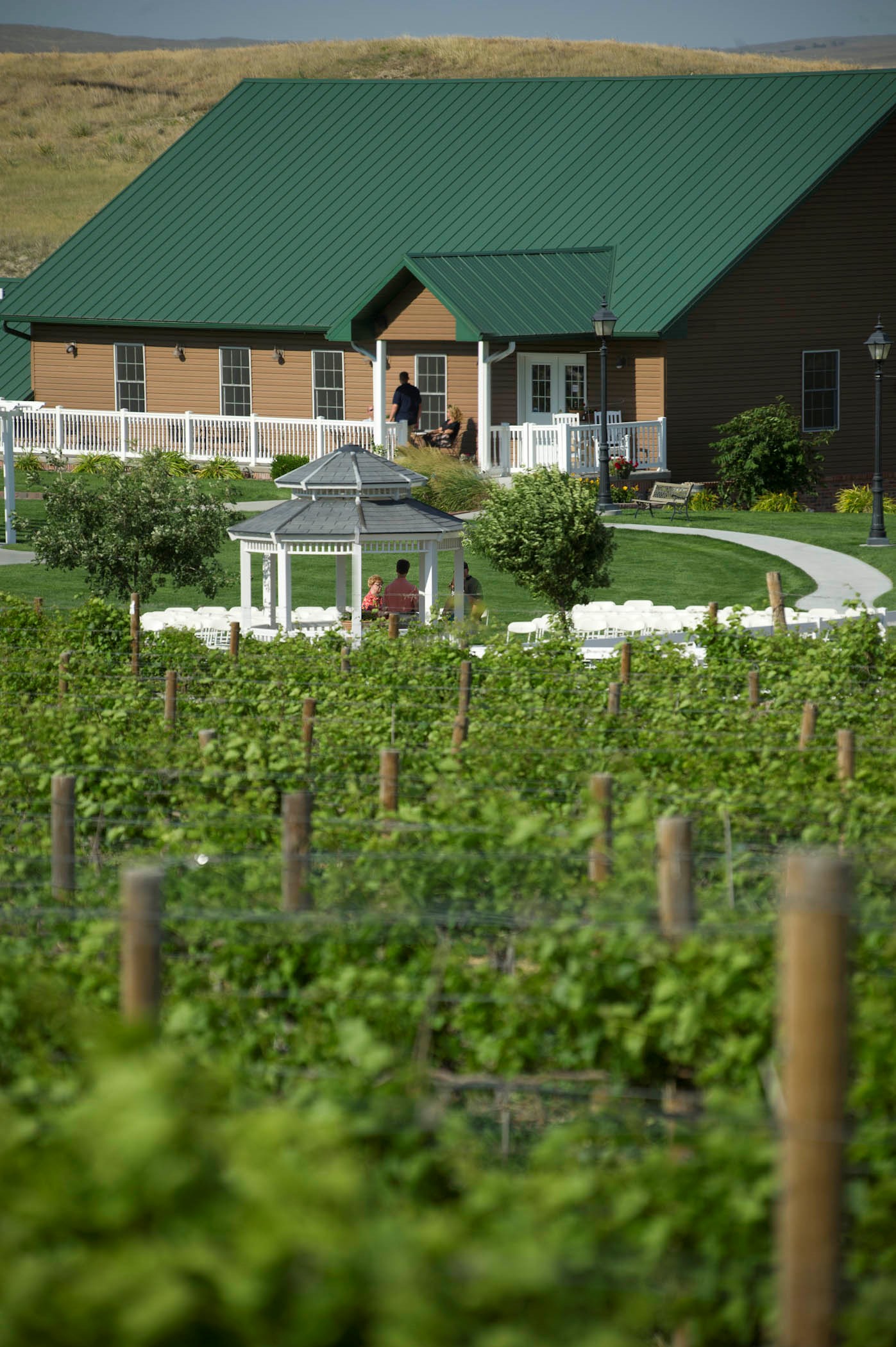 Feather River Vineyard