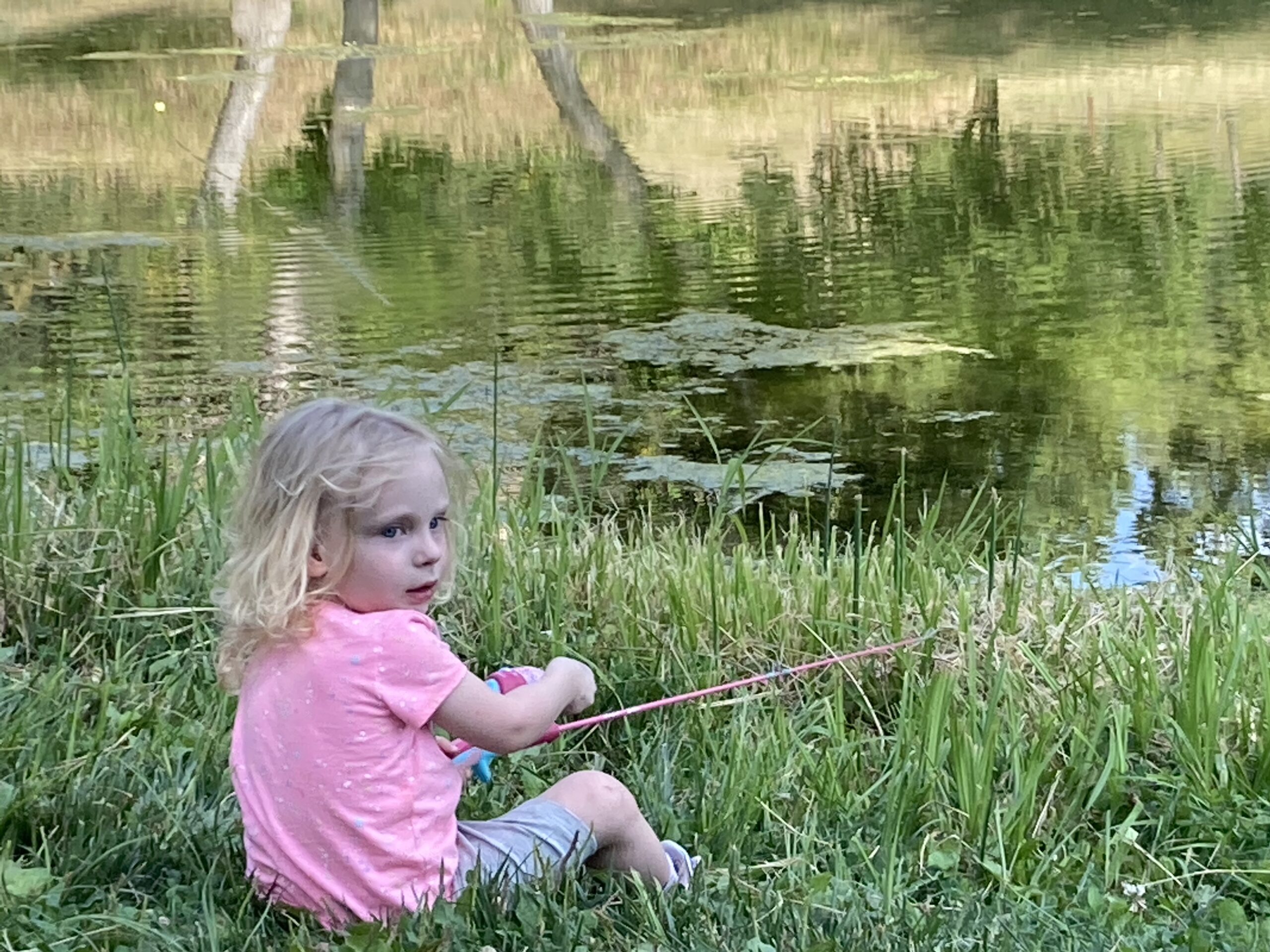 94D7F081-8DCF-4C07-9679-70E08B26761E-scaled.jpeg