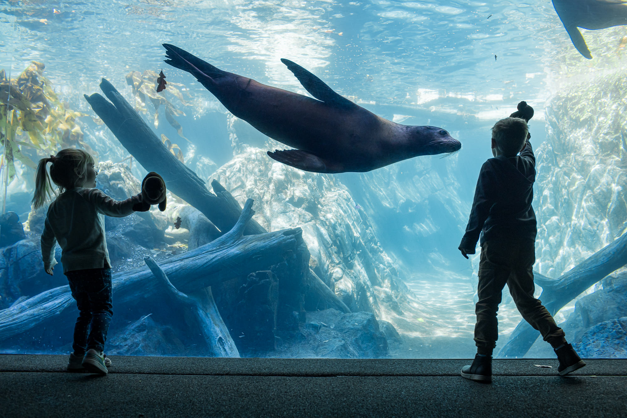 Visitors at the Owen Sea Shores at Omaha's Henry Doorly Zoo and Aquarium in Omaha, Nebraska