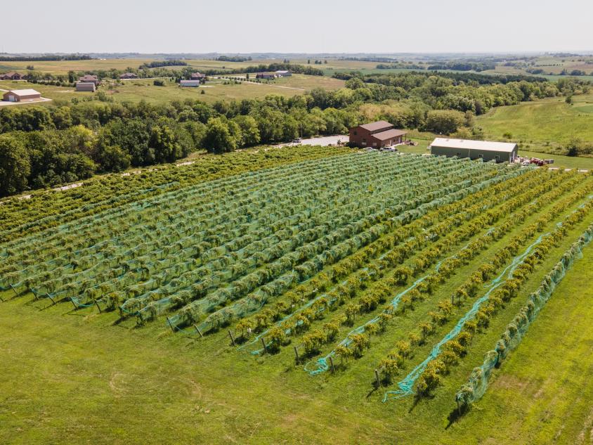 Rich Harvest Vineyard and Winery Passport Stop Photo