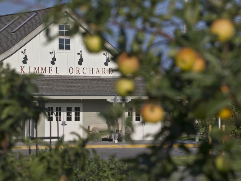 KimmelOrchard_7.20.12_113