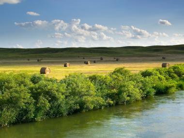 South Loop Scenic Shot