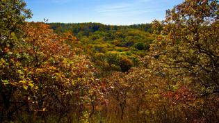 Fall Foliage covers the mountainside at Indian Cave State Park in Shubert, NE.