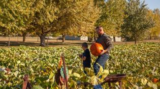 Poppy's Pumpkin Patch