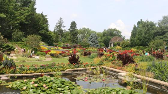 Sunken Gardens
