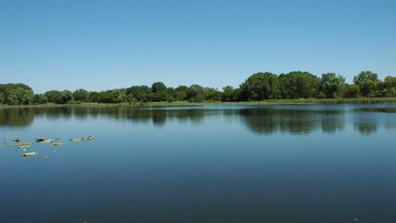 Wild Plum Lake Wildlife Management Area