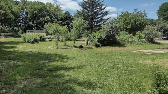 Large campsites with privacy hedge.