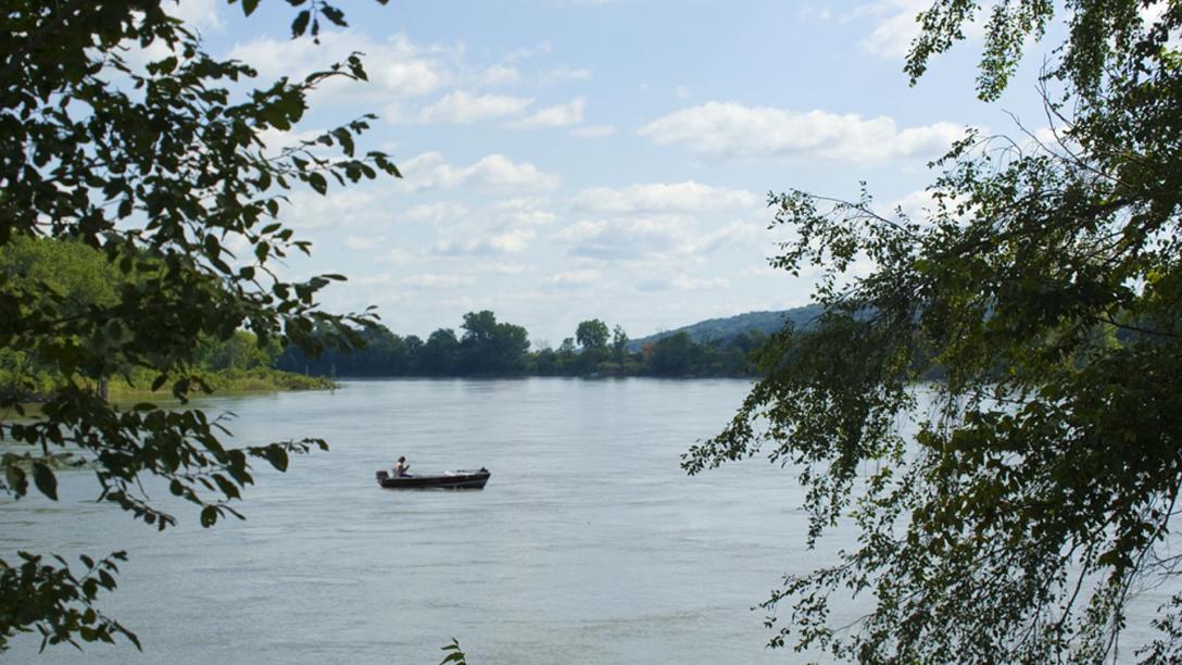 Decatur River Cabins (Decatur)