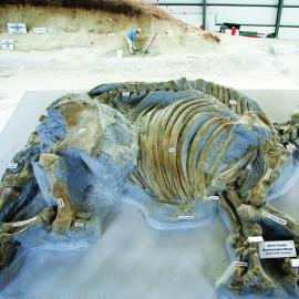 Ashfall Fossil Beds State Historical Park