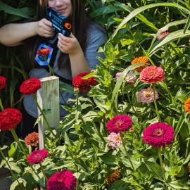A-Mazing Flowers and Studio