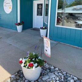 Bloomin Daisies Floral & Gifts