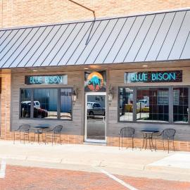Blue Bison