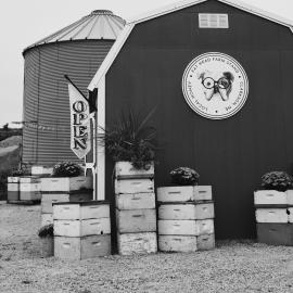 Fat Head Honey Farms