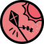 Kite Icon
