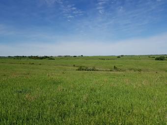 20220522_095636.jpg 20220522_095636.jpg