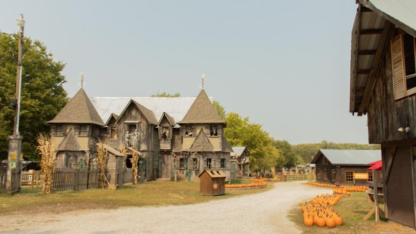 Haunted house and pumpkin patch at Roca Berry Farm.