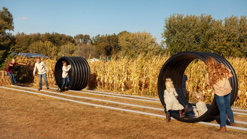 Hamster Wheels at Poppy's Pumpkin Patch | NAVB