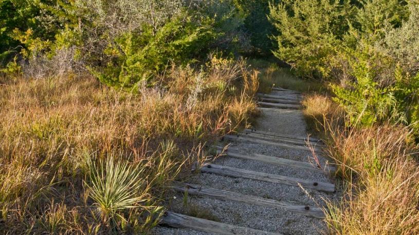 A trail through foliage leading to the river at Niobrara State Park.