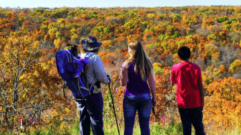 backpackers looking over fall foliage