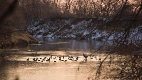 Nebraska in Winter