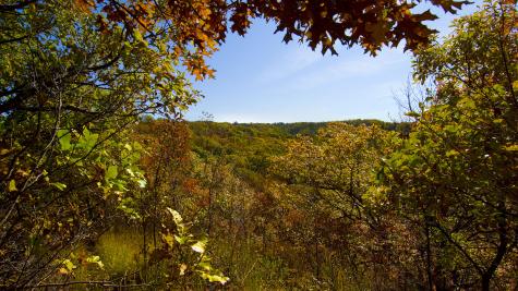 Fall foliage in Indian Cave State Park. | Photo by Rick Neibel / Nebraska Tourism.