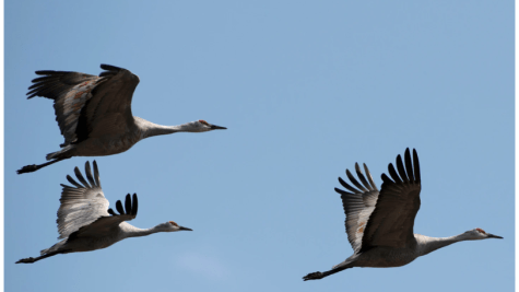 6 Outdoor Adventures for Spring Break in the United States