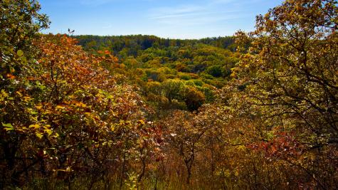 Fall Foliage at Indian Cave State Park. 