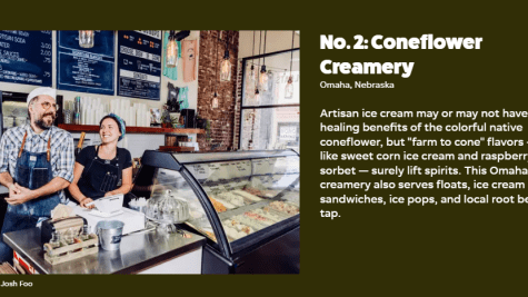coneflower article