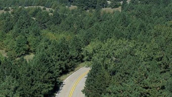 Nebraska National Forest