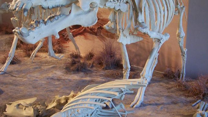 Agate Fossil Beds National Monument
