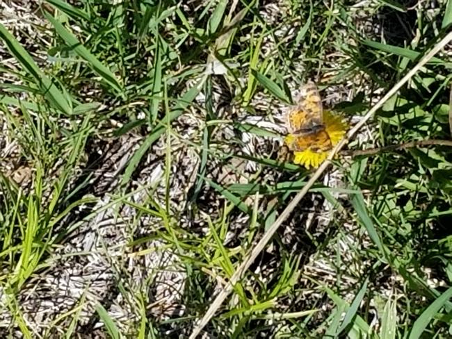 20220522_101136.jpg 20220522_101136.jpg