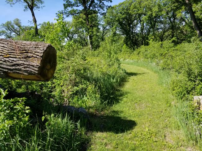 20220522_101256.jpg 20220522_101256.jpg