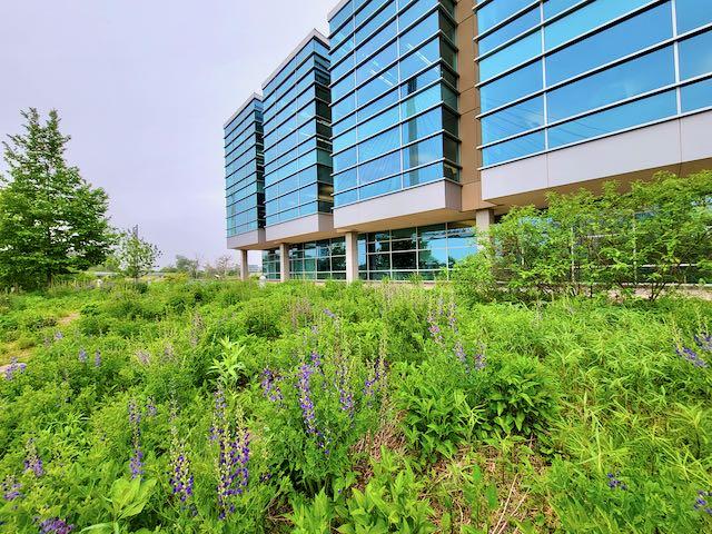 OUTSIDE VIEW - LEWIS AND CLARK NATIONAL HISTORICAL TRAIL HEADQUARTERS AND VISITORS CENTER - OMAHA NE.jpeg OUTSIDE VIEW - LEWIS AND CLARK NATIONAL HISTORICAL TRAIL HEADQUARTERS AND VISITORS CENTER - OMAHA NE.jpeg